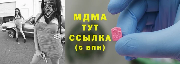 стафф Апатиты