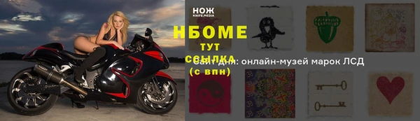 стафф Апатиты
