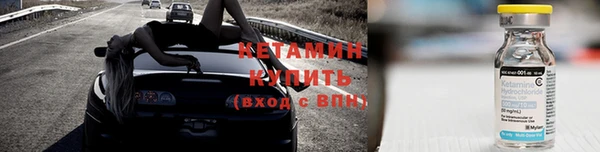 прущие грибы Бабаево