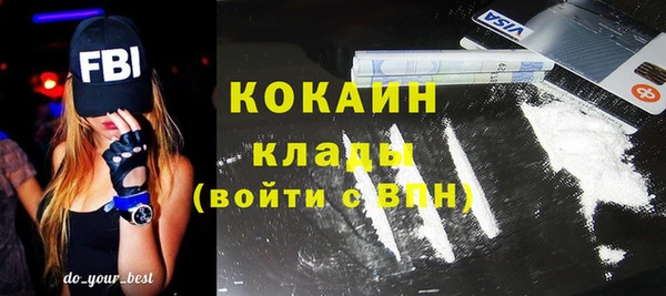 стафф Апатиты