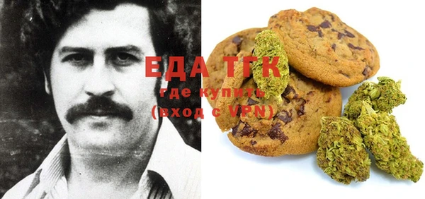 ECSTASY Аша