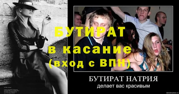 прущие грибы Бабаево