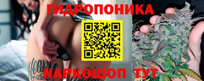 трава Гай