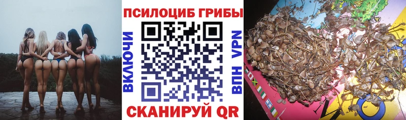 Галлюциногенные грибы ЛСД Зерноград