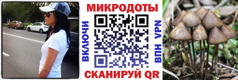 Галлюциногенные грибы Psilocybe  Зерноград 
