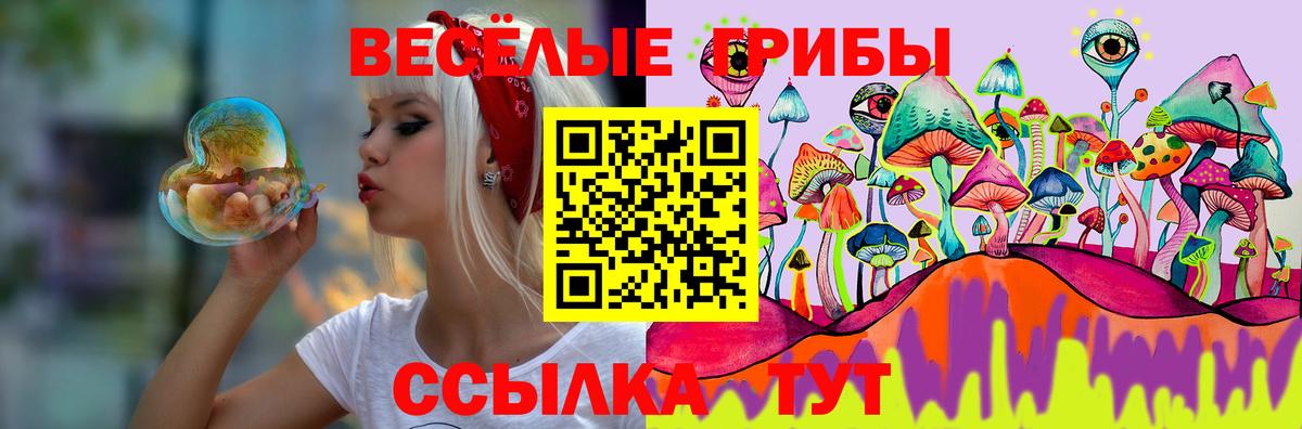 Зерноград  Галлюциногенные грибы GOLDEN TEACHER  Вход с VPN 
