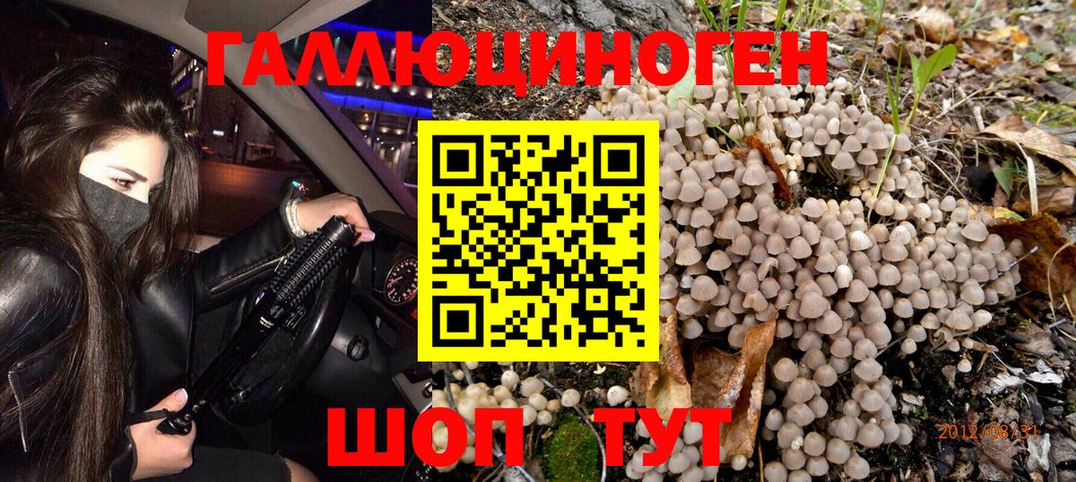 Галлюциногенные грибы мицелий Зерноград