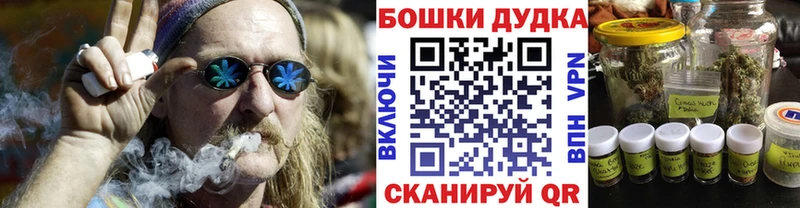 Конопля Amnesia  MEGA маркетплейс  Зерноград 